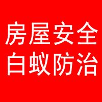 房屋安全白蚁防治.jpg